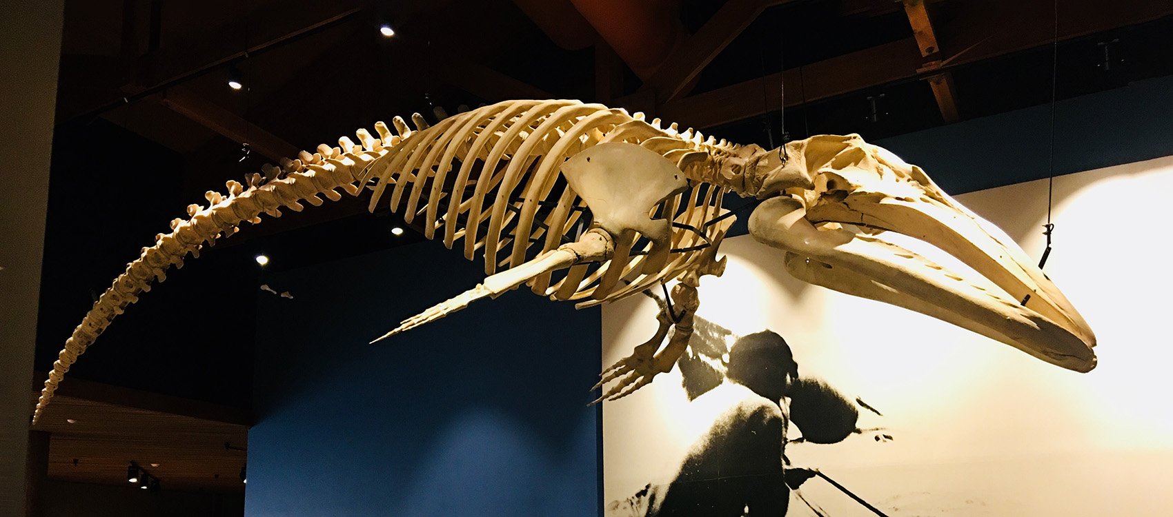 🏛️ 마카베 전승관(마카베덴쇼칸) 이미지 4